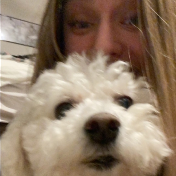 Meet your Posher, Ceana - Picture 1 of 1